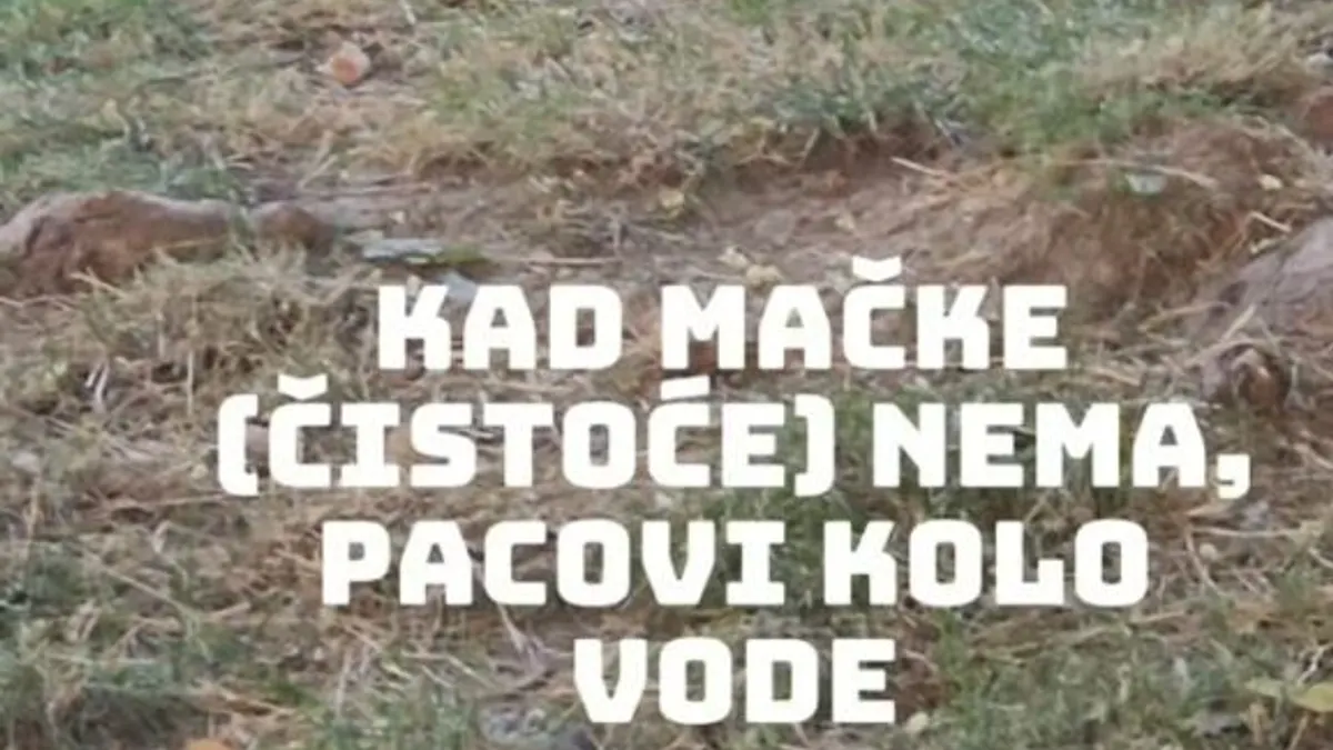 Otvoreni šahtovi i glodari na Malti – ovo je pitanje javnog zdravlja